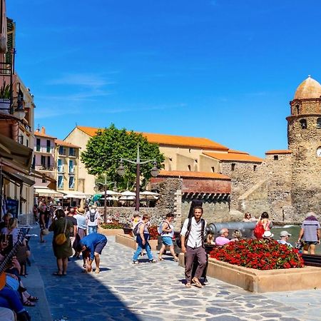 Petit Nid Catalan , 10 Minutes Des Plages Perpignan Eksteriør bilde